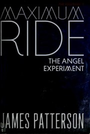 The Angel Experiment 표지